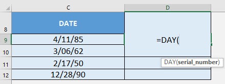 DAY Formula in Excel