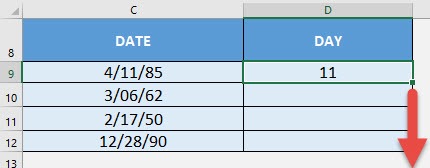 DAY Formula in Excel