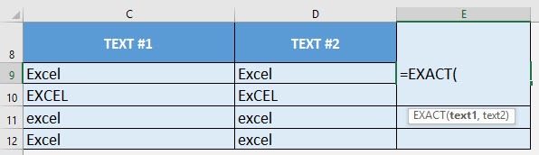 EXACT Formula in Excel