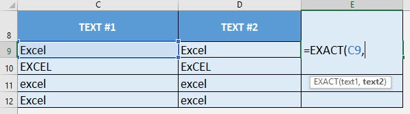 EXACT Formula in Excel