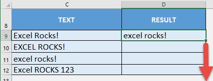 LOWER Formula in Excel