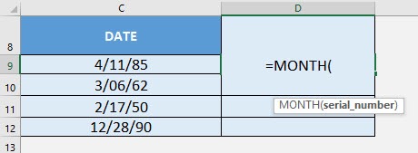 DAY Formula in Excel