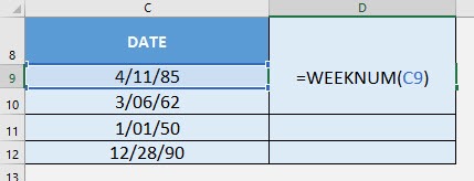 WEEKNUM Formula in Excel