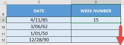 WEEKNUM Formula in Excel