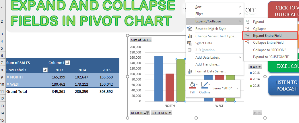 Expand and Collapse Fields in Pivot Chart in Excel