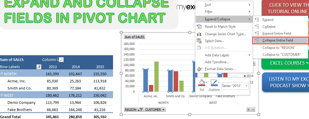 Expand and Collapse Fields in Pivot Chart in Excel