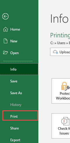 Printing a Pivot Chart