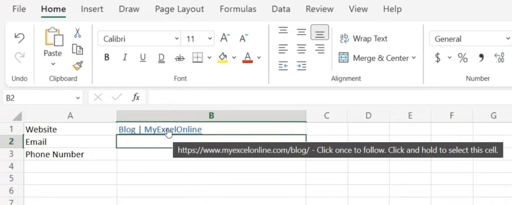 Inserting a Hyperlink in Microsoft Excel