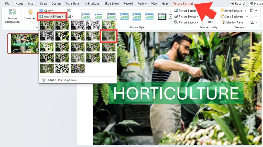 Blur images in powerpoint