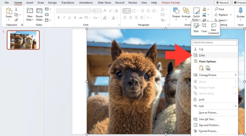 Blur images in powerpoint