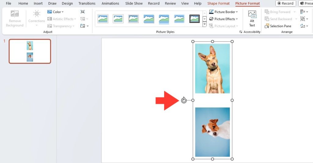 Rotate & Flip PowerPoint Images