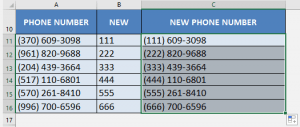 Change Phone Area Codes with Excel’s REPLACE Formula