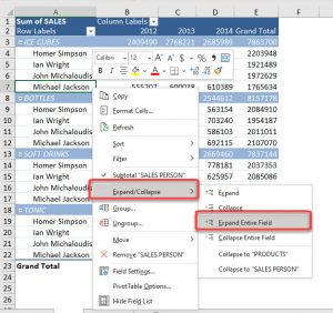 Expand and Collapse buttons in Excel Pivot Tables | MyExcelOnline