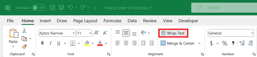 How to Enter in Excel