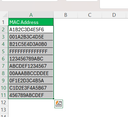 MAC Address Format in Excel