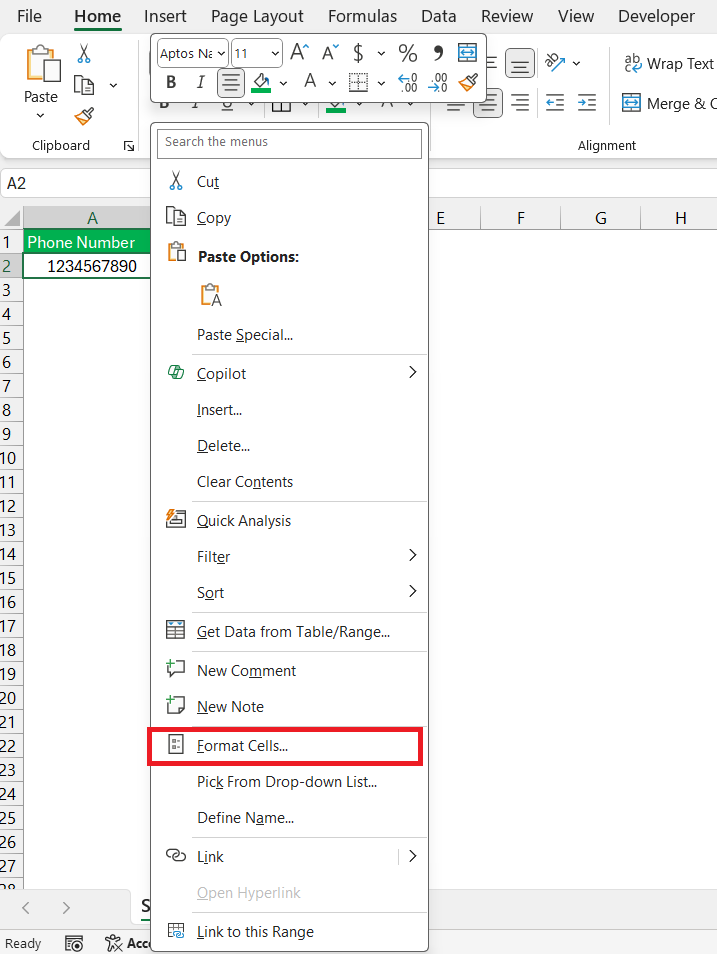 Phone Number Format in Excel