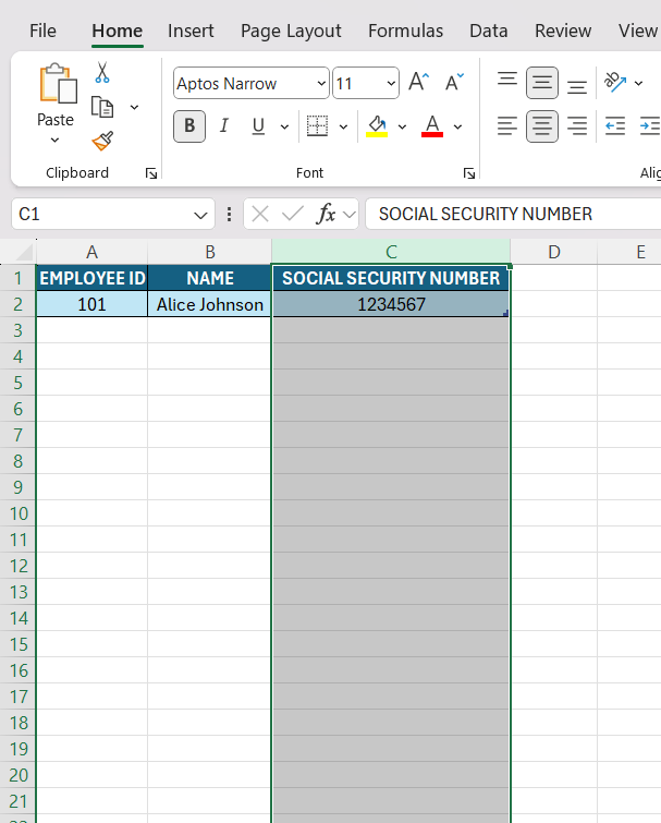 Social Security Number Format