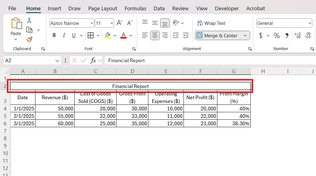 Excel Format