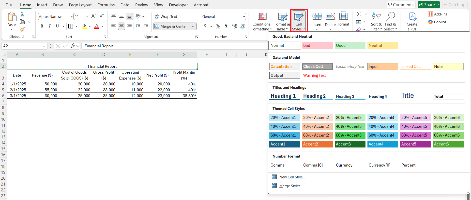 Excel Format